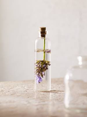 two oil starter blends, lavender in vessel